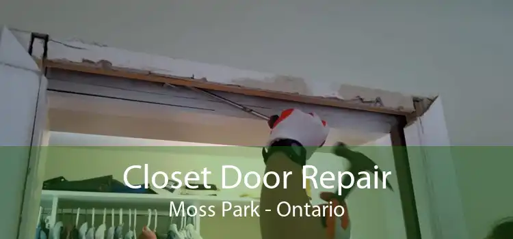 Closet Door Repair Moss Park - Ontario