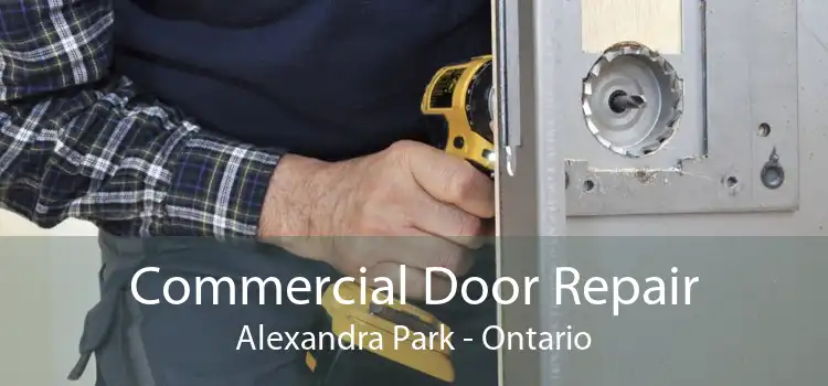 Commercial Door Repair Alexandra Park - Ontario