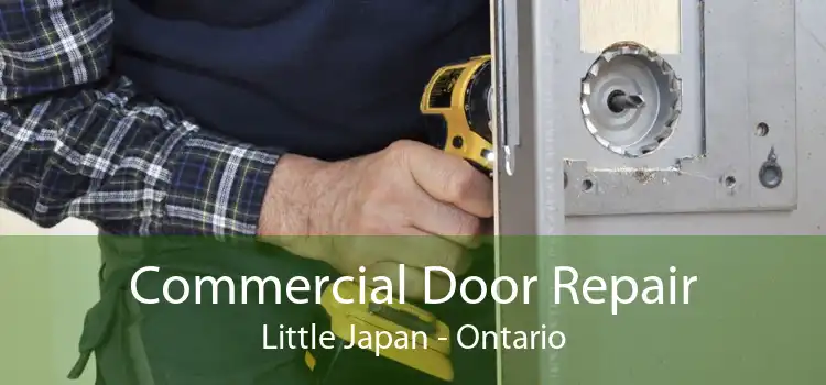 Commercial Door Repair Little Japan - Ontario