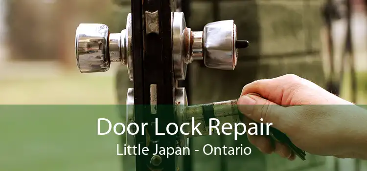 Door Lock Repair Little Japan - Ontario