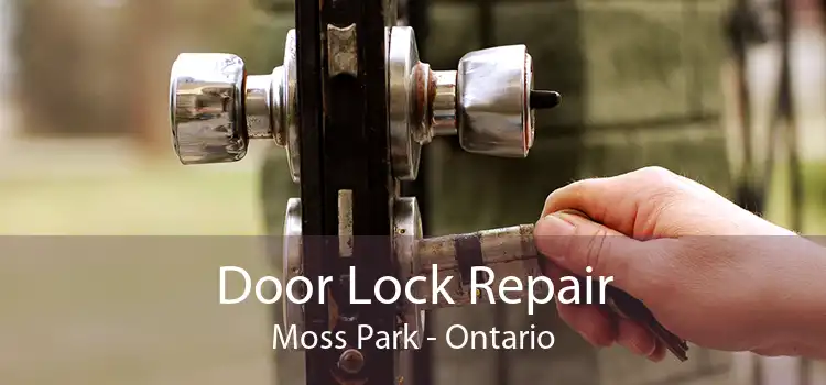 Door Lock Repair Moss Park - Ontario