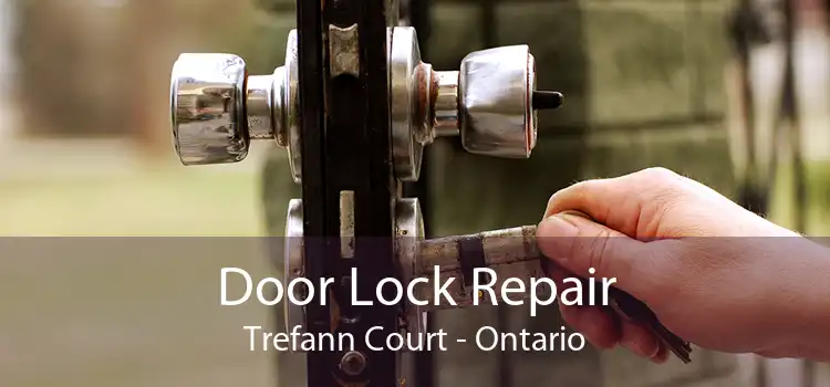 Door Lock Repair Trefann Court - Ontario