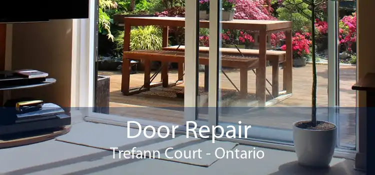 Door Repair Trefann Court - Ontario