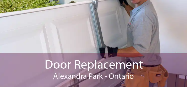 Door Replacement Alexandra Park - Ontario