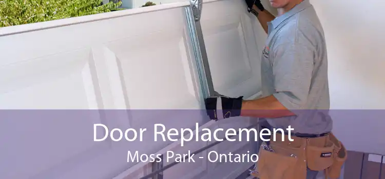 Door Replacement Moss Park - Ontario