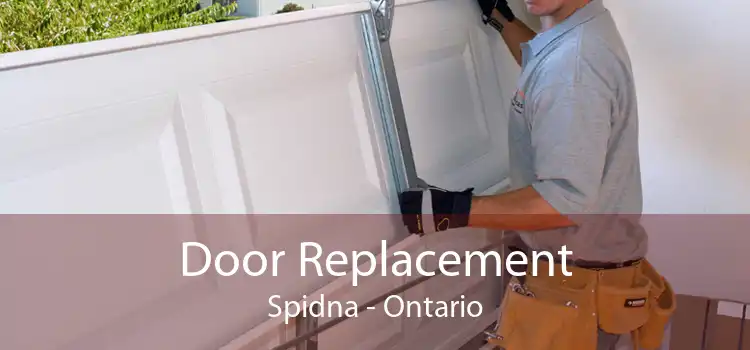 Door Replacement Spidna - Ontario