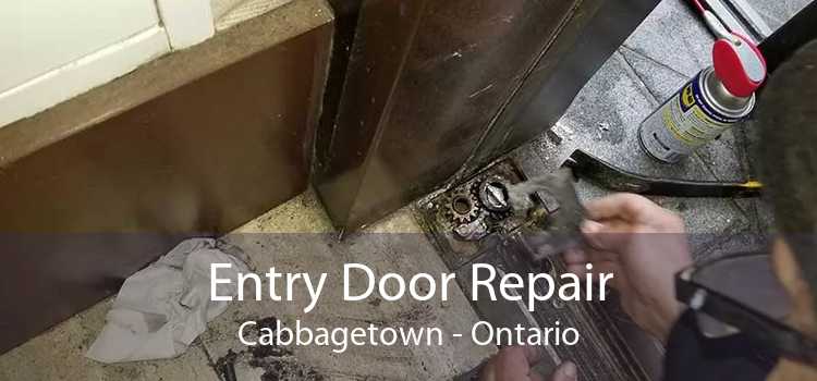 Entry Door Repair Cabbagetown - Ontario