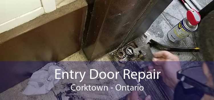 Entry Door Repair Corktown - Ontario