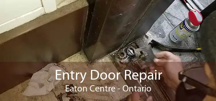Entry Door Repair Eaton Centre - Ontario