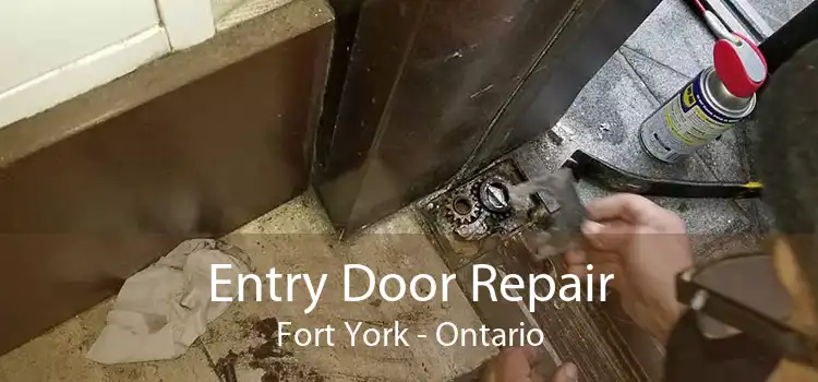 Entry Door Repair Fort York - Ontario