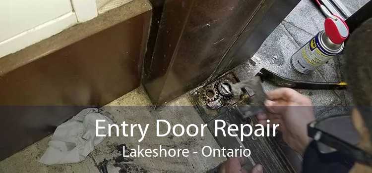 Entry Door Repair Lakeshore - Ontario