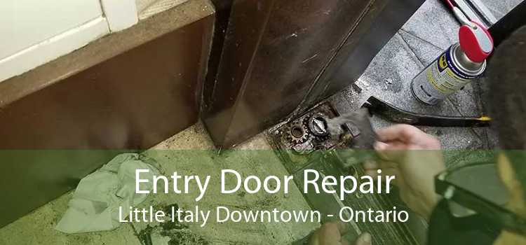 Entry Door Repair Little Italy Downtown - Ontario