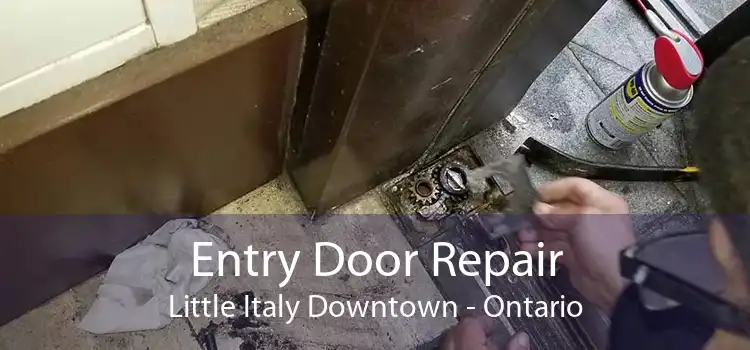 Entry Door Repair Little Italy Downtown - Ontario