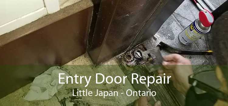 Entry Door Repair Little Japan - Ontario