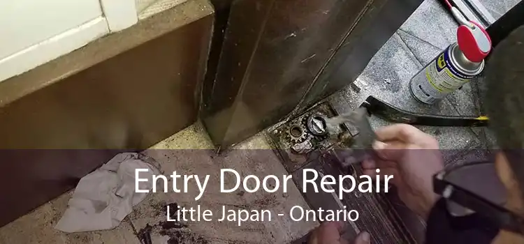 Entry Door Repair Little Japan - Ontario