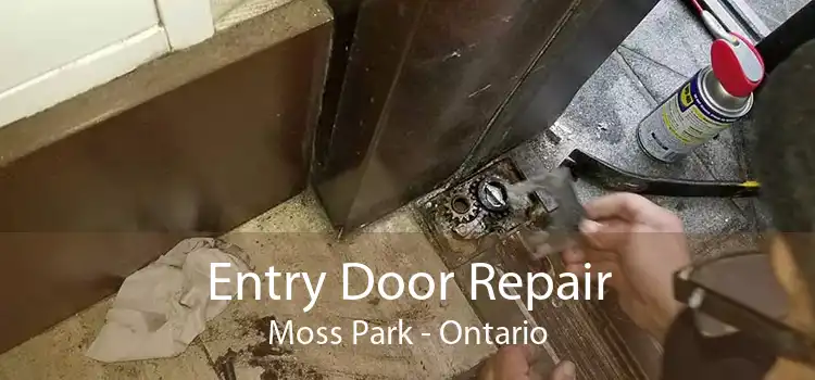 Entry Door Repair Moss Park - Ontario