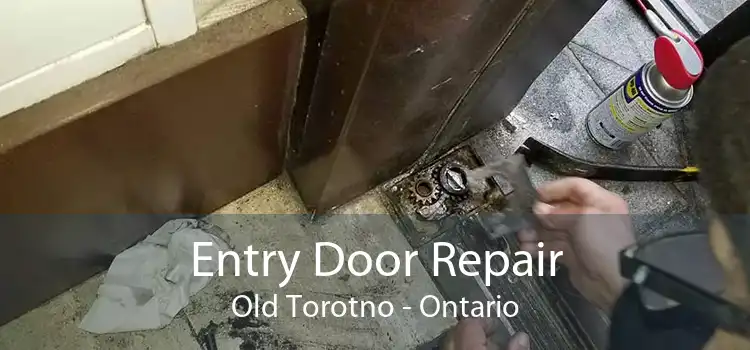 Entry Door Repair Old Torotno - Ontario
