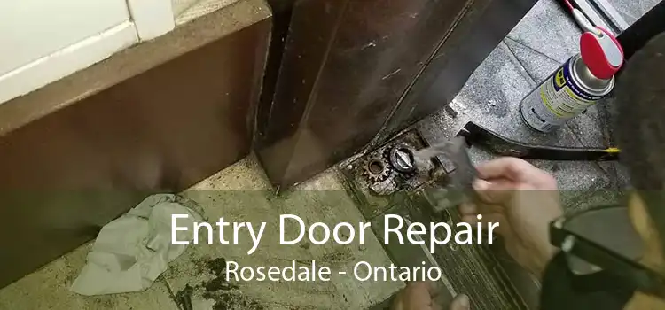 Entry Door Repair Rosedale - Ontario