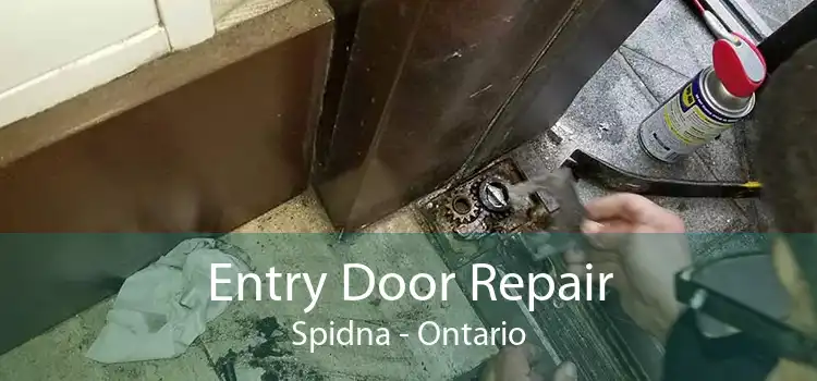 Entry Door Repair Spidna - Ontario