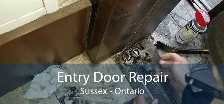 Entry Door Repair Sussex - Ontario