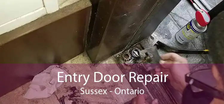 Entry Door Repair Sussex - Ontario