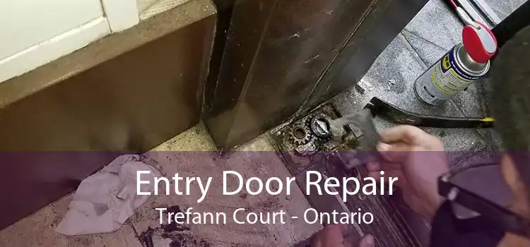 Entry Door Repair Trefann Court - Ontario