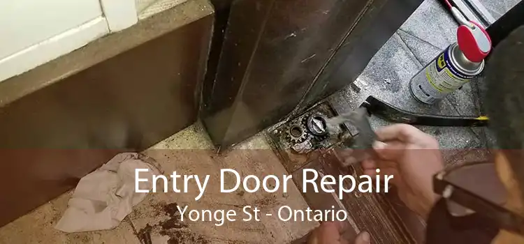 Entry Door Repair Yonge St - Ontario