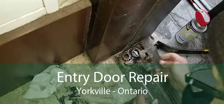 Entry Door Repair Yorkville - Ontario