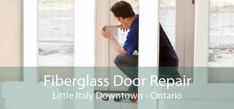 Fiberglass Door Repair Little Italy Downtown - Ontario
