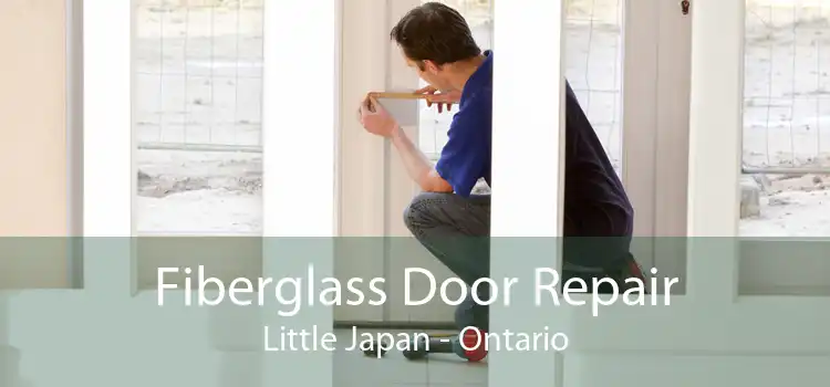 Fiberglass Door Repair Little Japan - Ontario