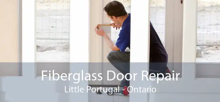 Fiberglass Door Repair Little Portugal - Ontario