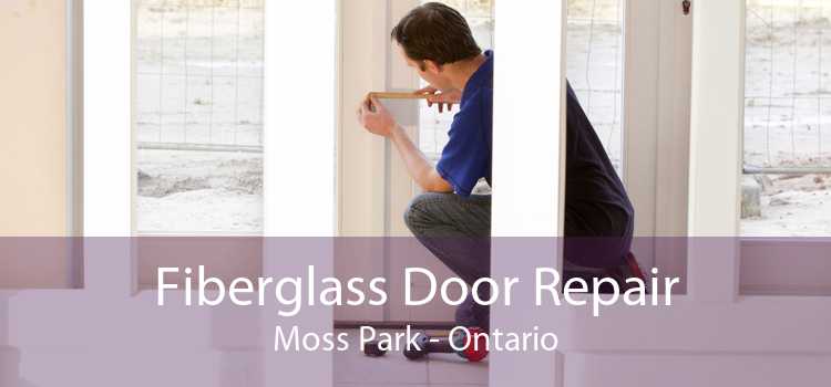 Fiberglass Door Repair Moss Park - Ontario