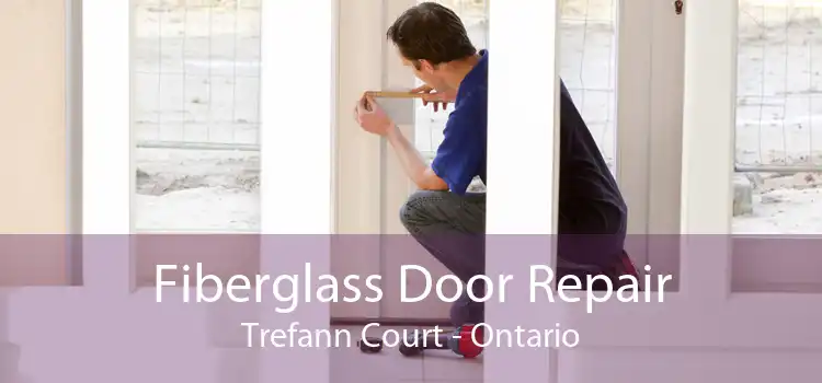 Fiberglass Door Repair Trefann Court - Ontario