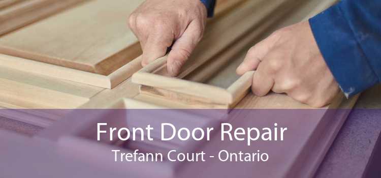 Front Door Repair Trefann Court - Ontario