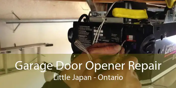 Garage Door Opener Repair Little Japan - Ontario