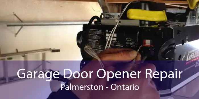 Garage Door Opener Repair Palmerston - Ontario