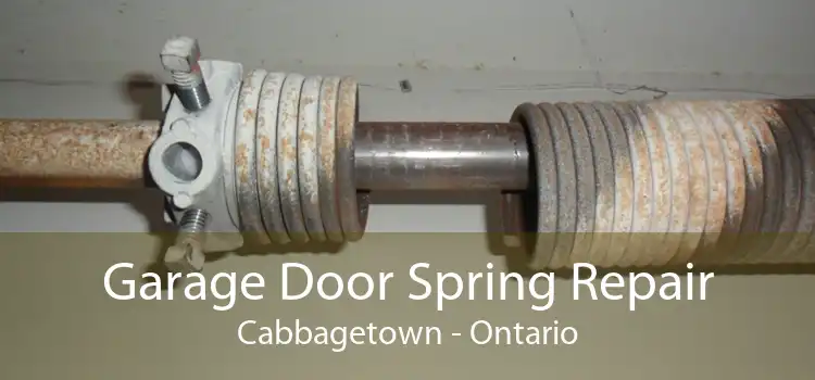 Garage Door Spring Repair Cabbagetown - Ontario