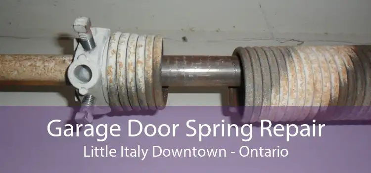 Garage Door Spring Repair Little Italy Downtown - Ontario