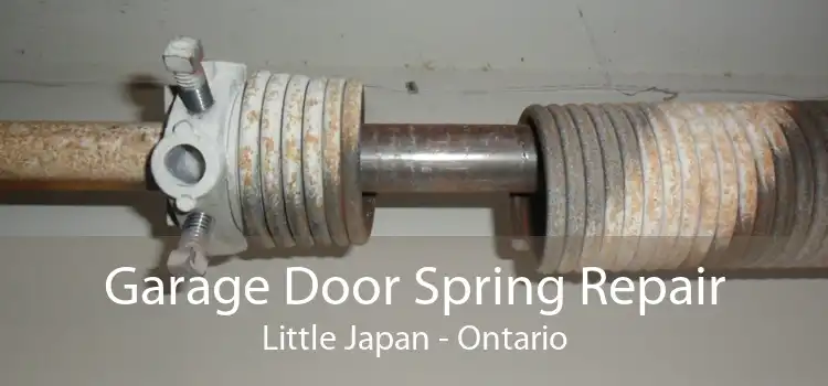 Garage Door Spring Repair Little Japan - Ontario