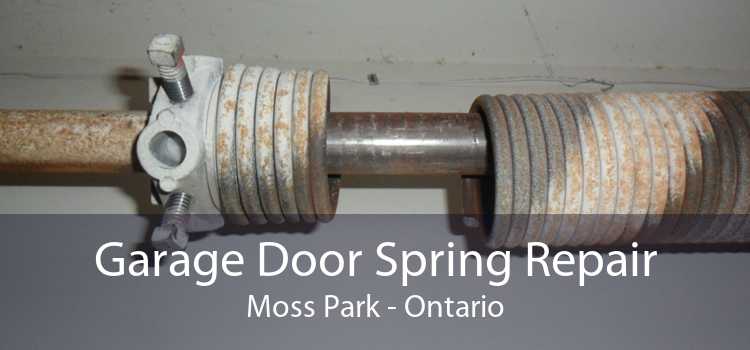 Garage Door Spring Repair Moss Park - Ontario