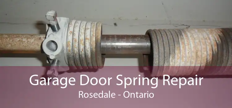 Garage Door Spring Repair Rosedale - Ontario