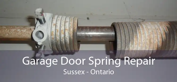 Garage Door Spring Repair Sussex - Ontario