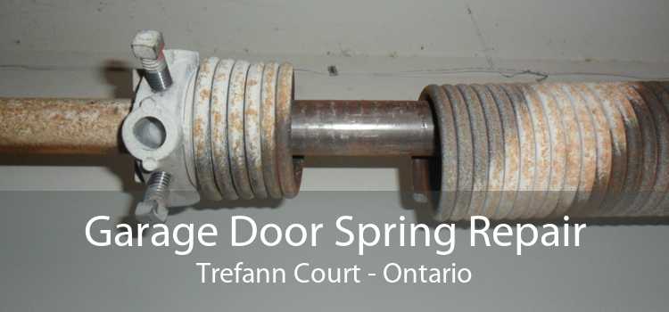 Garage Door Spring Repair Trefann Court - Ontario