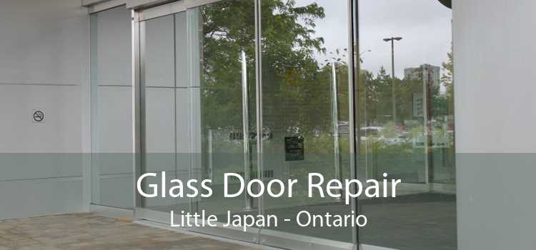 Glass Door Repair Little Japan - Ontario
