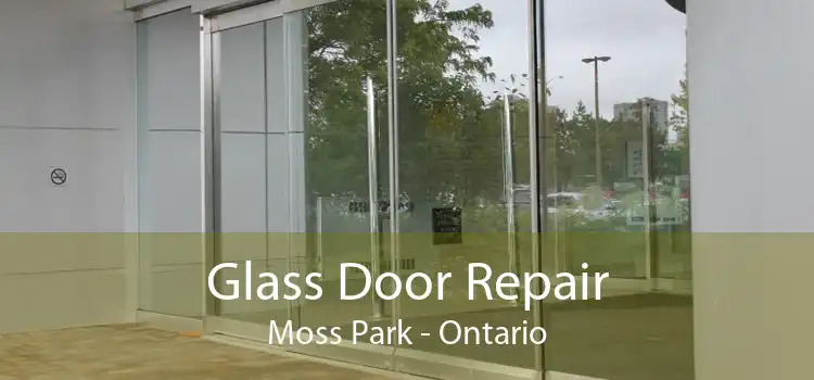 Glass Door Repair Moss Park - Ontario