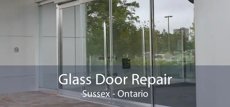 Glass Door Repair Sussex - Ontario