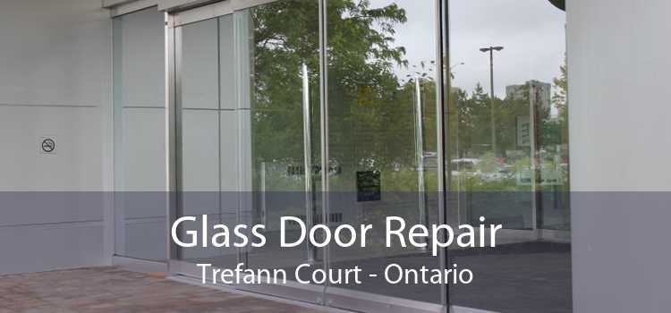 Glass Door Repair Trefann Court - Ontario