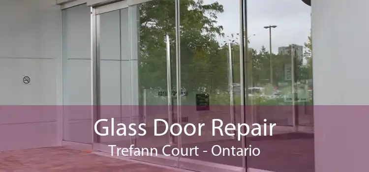 Glass Door Repair Trefann Court - Ontario