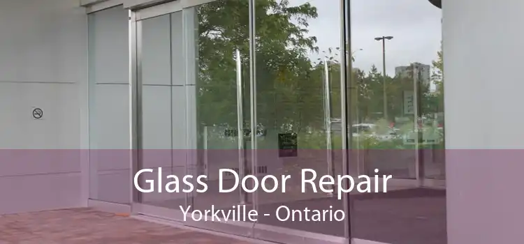 Glass Door Repair Yorkville - Ontario