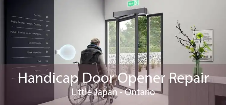 Handicap Door Opener Repair Little Japan - Ontario